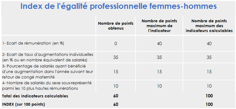 indexi égalité professionnelle 2024